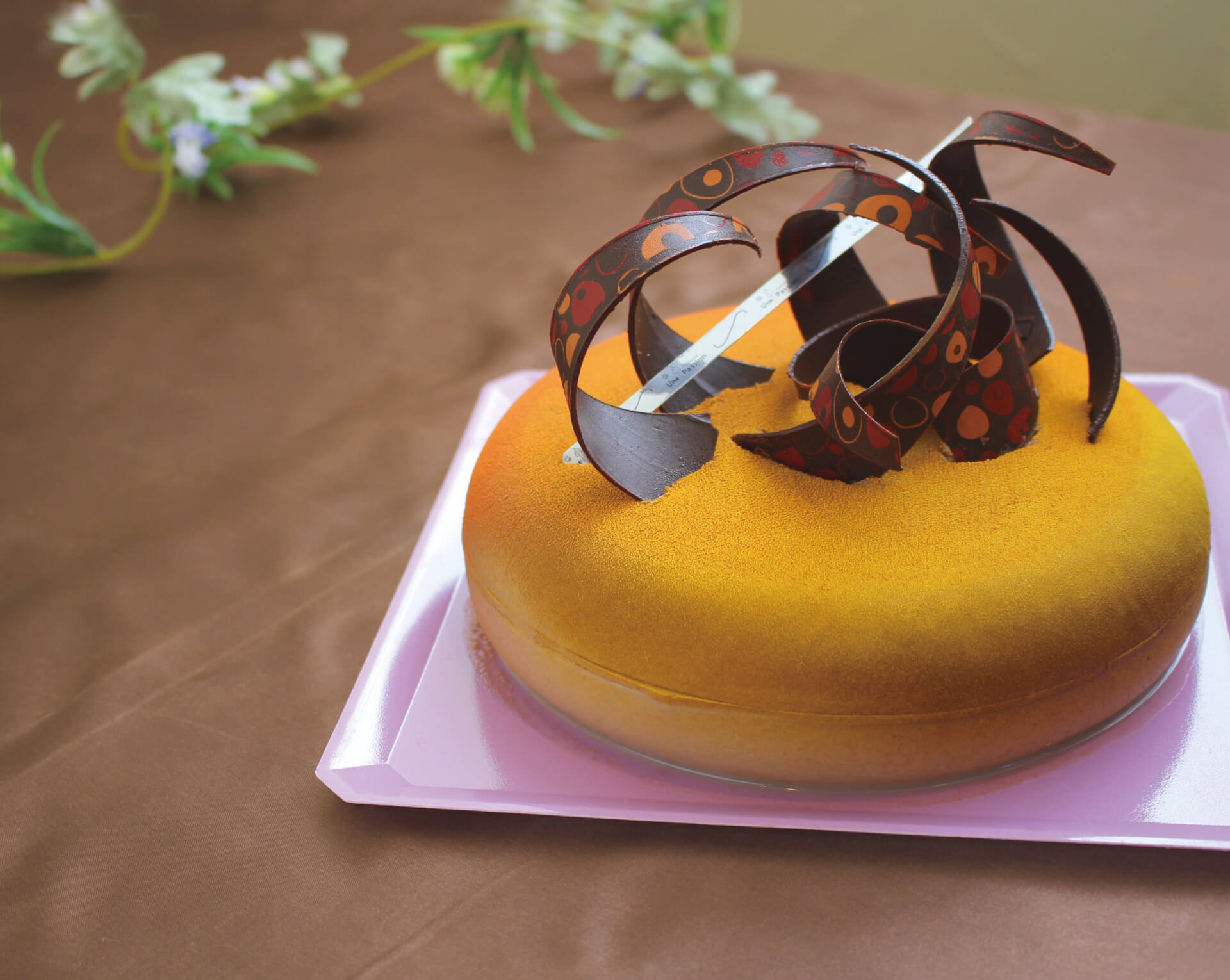 peBX[ ApbV sEJtF/P[L(main_photo1)