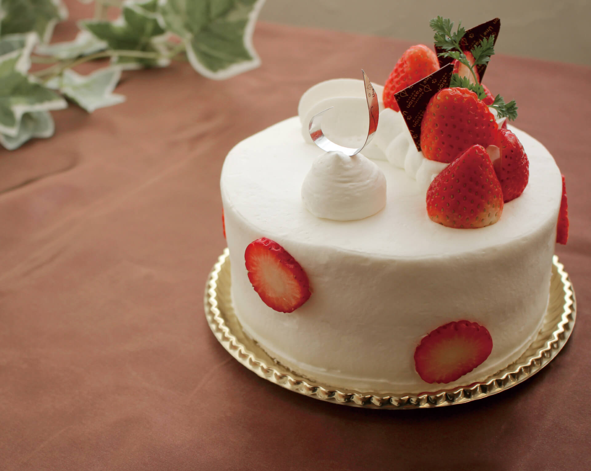 peBX[ ApbV sEJtF/P[L(main_photo2)