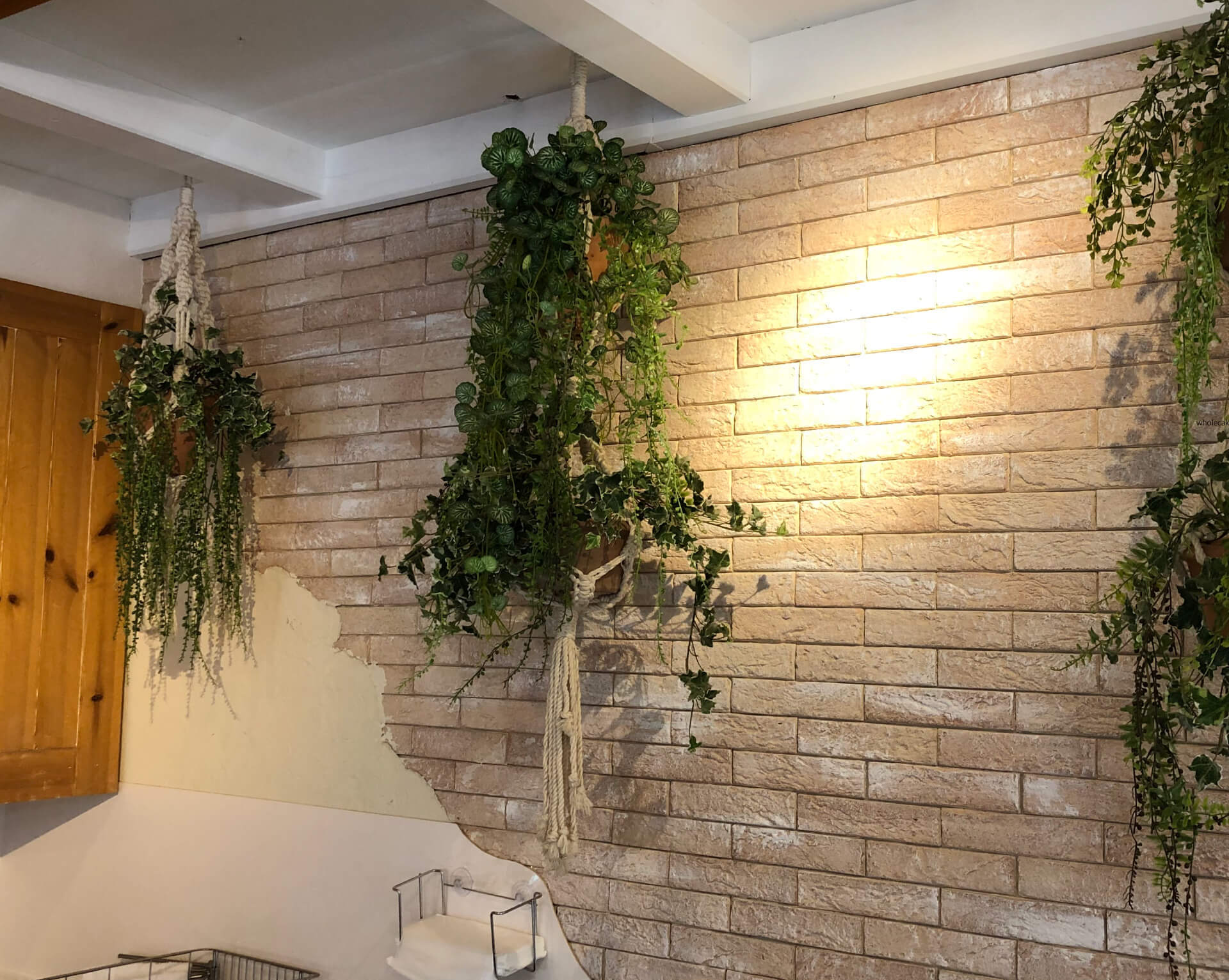 peBX[ ApbV sEJtF/P[L(main_photo5)