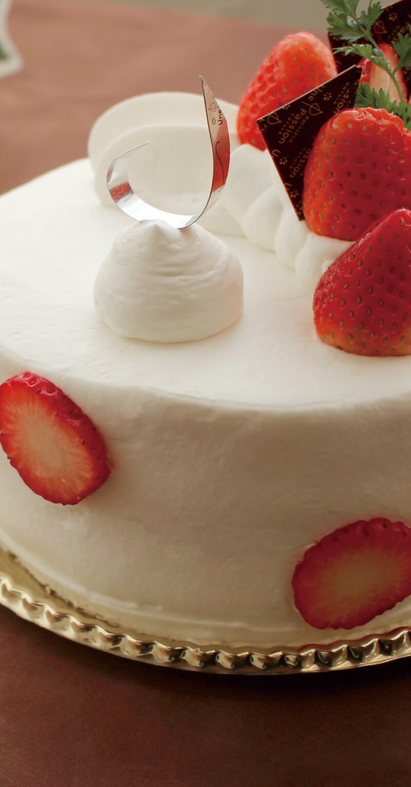 peBX[ ApbV sEJtF/P[L(main_photo2)