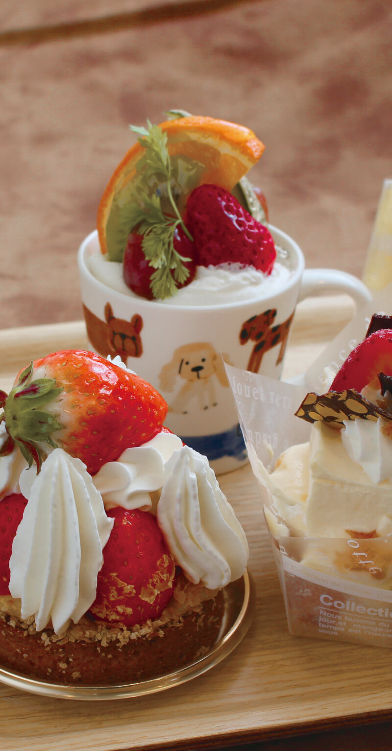 peBX[ ApbV sEJtF/P[L(main_photo4)