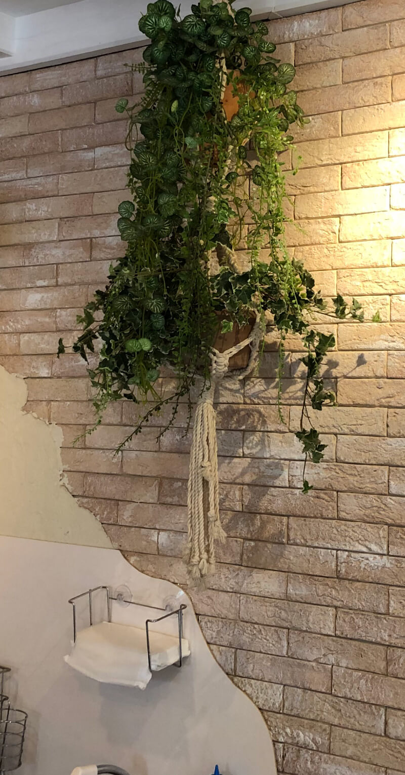 peBX[ ApbV sEJtF/P[L(main_photo5)